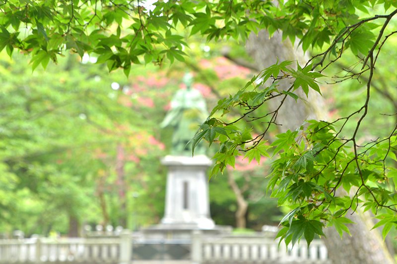 緑が美しい「千秋公園」